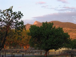 Tooth Ridge from the PTC